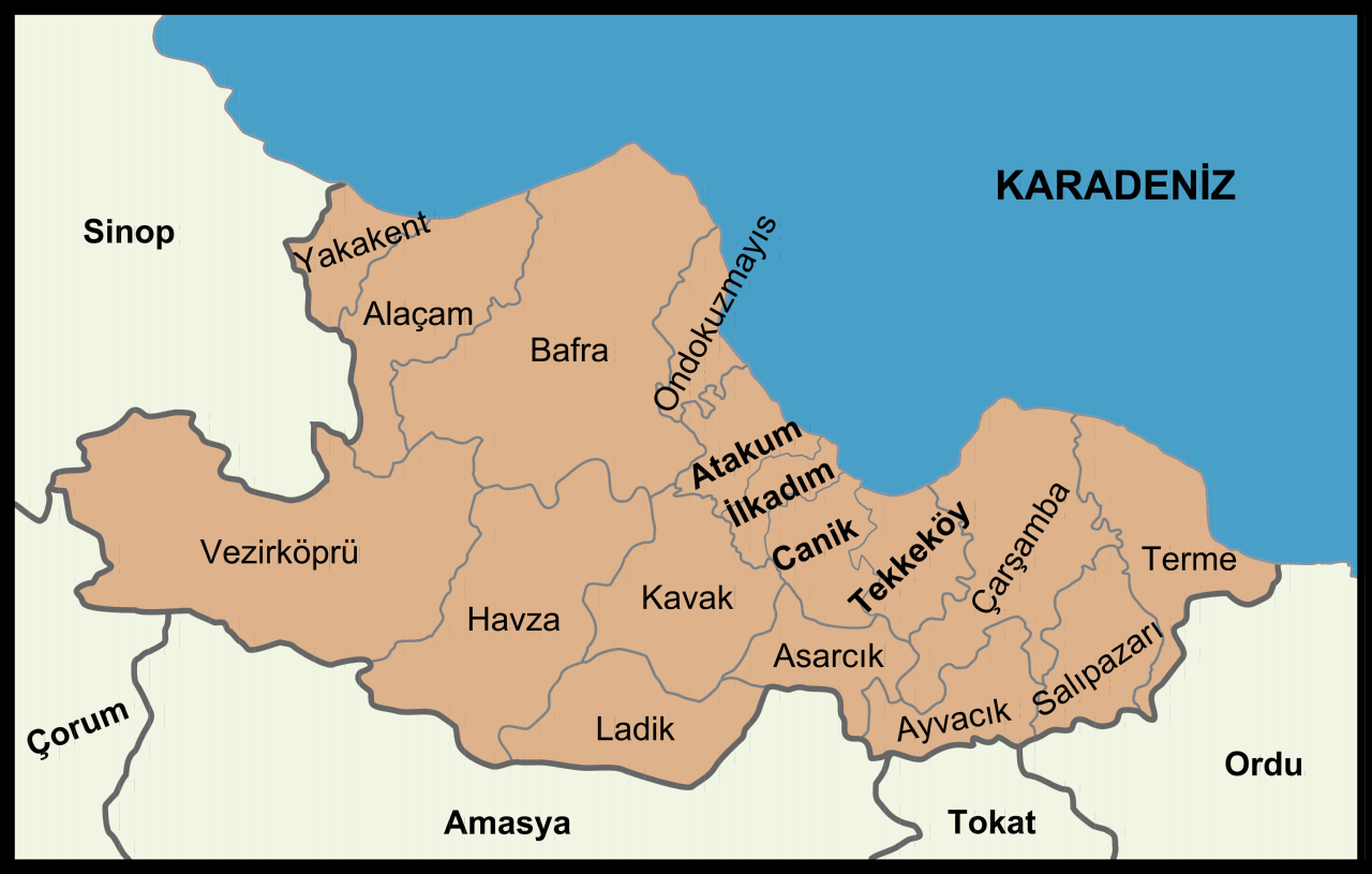 Samsun Mobil Sağlık Hizmetleri